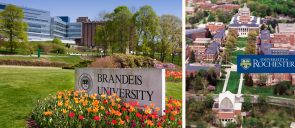 Rochester_Brandeis