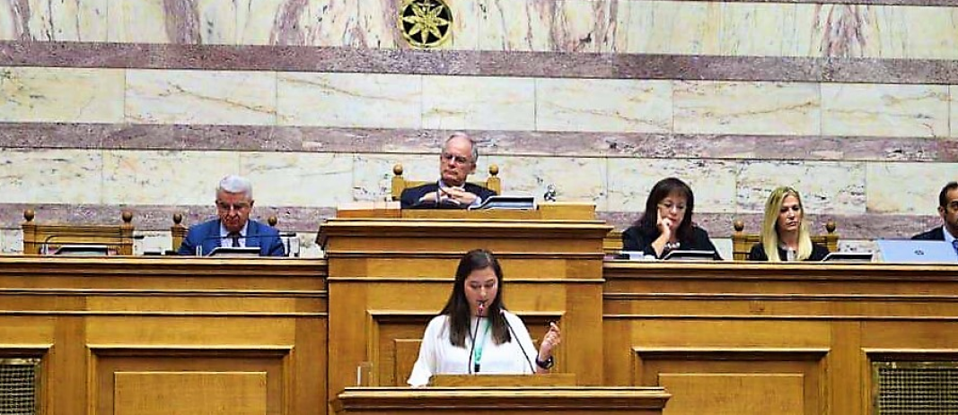έφηβοι βουλευτές συμμετείχαν και εργάστηκαν καθ’ όλη τη διάρκεια της σχολικής χρονιάς στη Βουλή των Εφήβων, με κεντρική θεματική τα ανθρώπινα δικαιώματα.