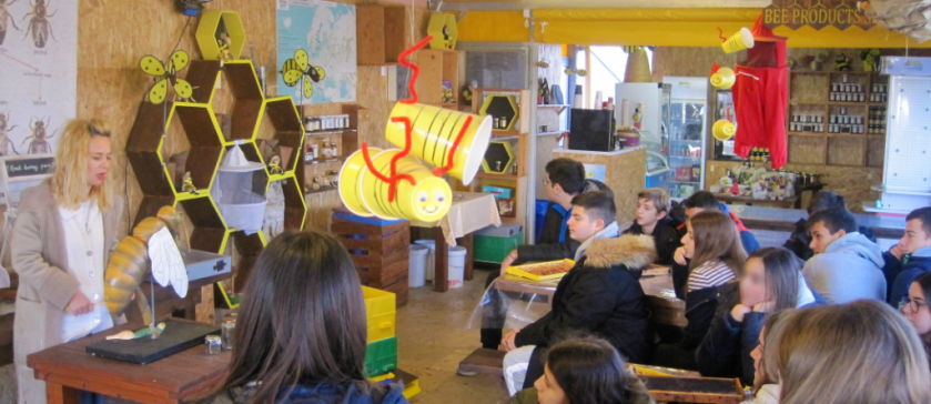 Junior High School Environmental Group at beekeeping theme park