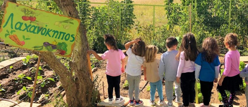 Τα Seeds επισκέφτηκαν τον λαχανόκηπο των Εκπαιδευτηρίων και παρατήρησαν τα διάφορα λαχανικά που έχουν φυτευτεί από μαθητές. - The Seeds took a stroll to the Mandoulides' vegetable garden and observed the various vegetables that have been planted by students.