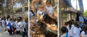 2023-10-13-Zoologikos-Kipos