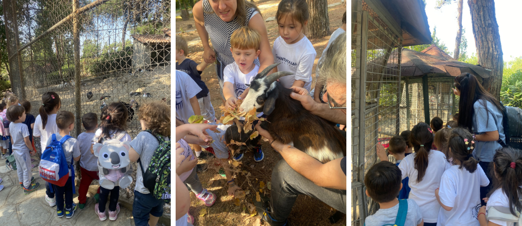 2023-10-13-Zoologikos-Kipos